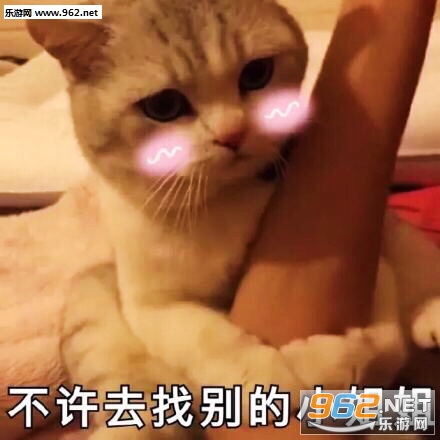 ���Ǹ����˵����ǲ������ȳ�����