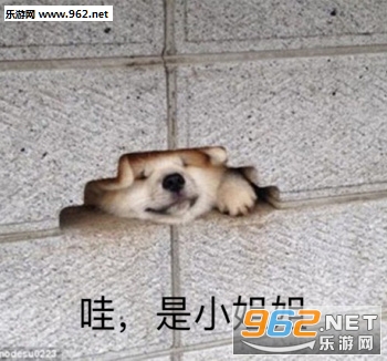 ����ȫ����û��Ǯ�����ͼƬ