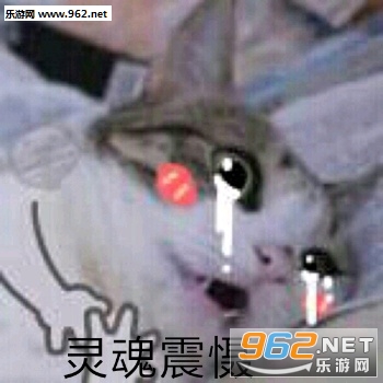 ����ȫ����û��Ǯ�����ͼƬ