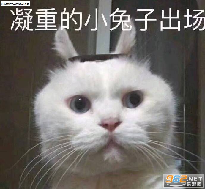 ����ȫ����û��Ǯ�����ͼƬ