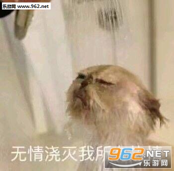 ����ȫ����û��Ǯ�����ͼƬ