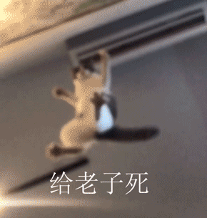 С�ϵ�����ô����è������