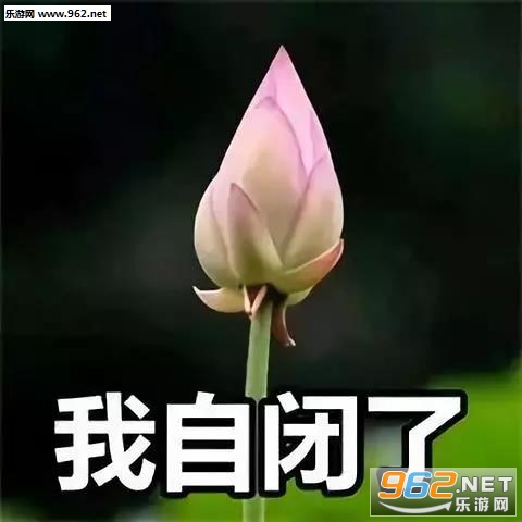 �ҿ�������г�������