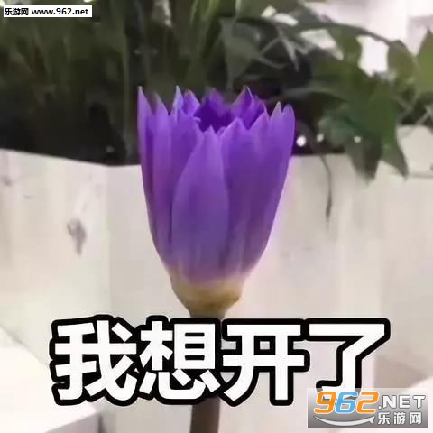 �ҿ�������г�������