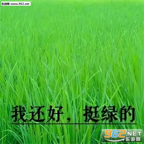 �ҿ�������г�������