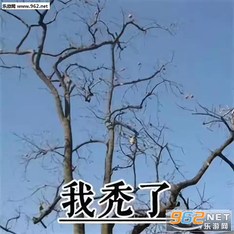 �ҿ�������г�������