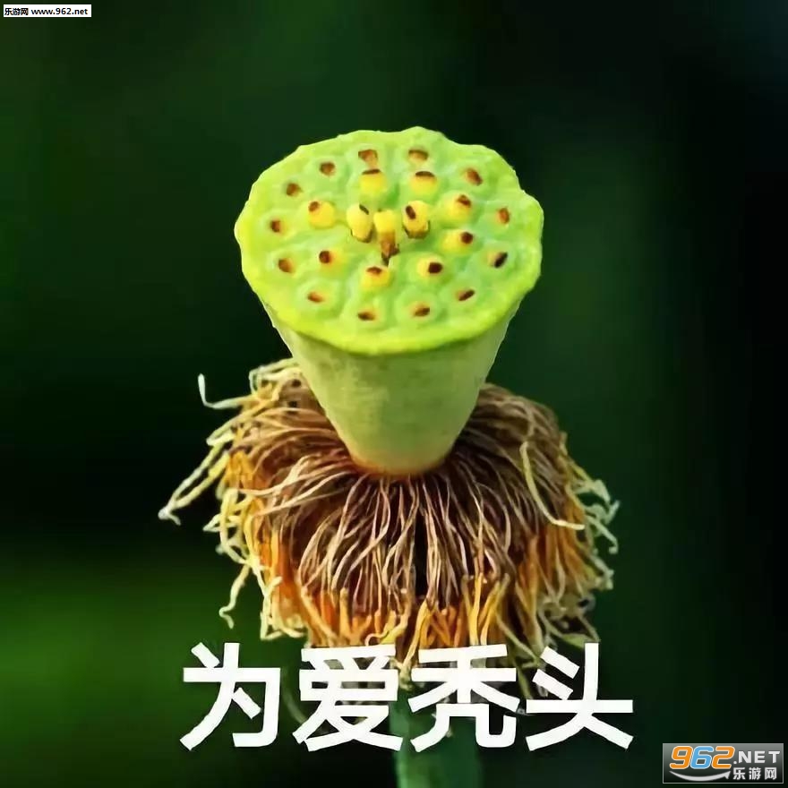 �ҿ�������г�������