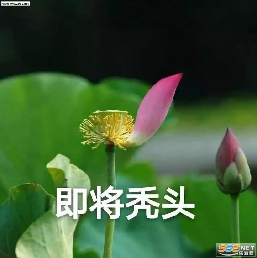 �ҿ�������г�������