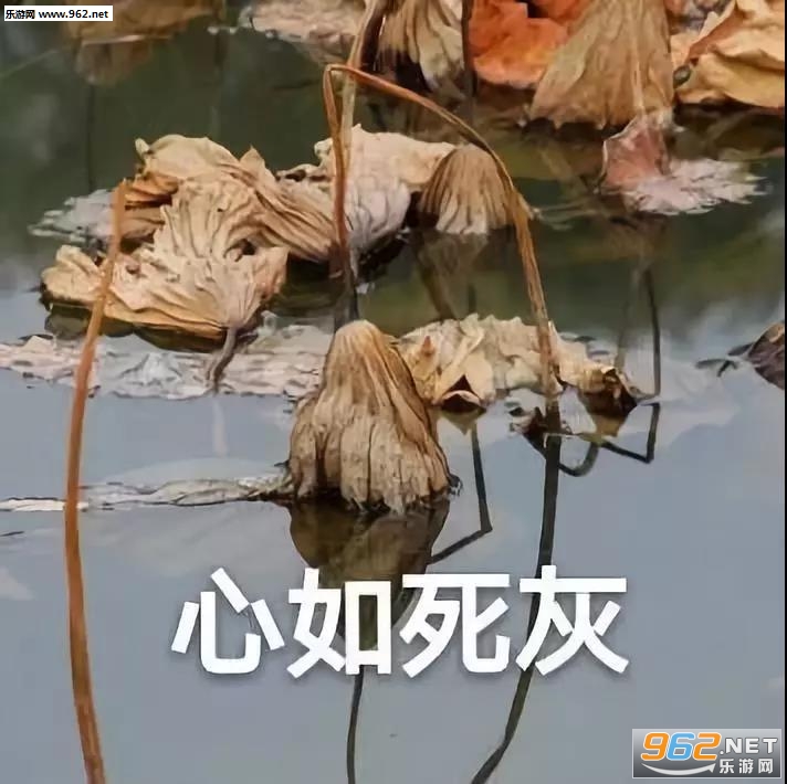 �ҿ�������г�������