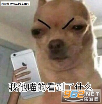 �������Ŀ�����ʲô�����