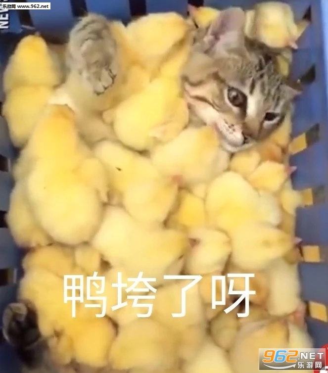 С��֭ҡ���Ұȱ����ͼƬ