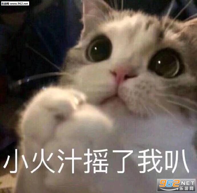 С��֭ҡ���Ұȱ����ͼƬ