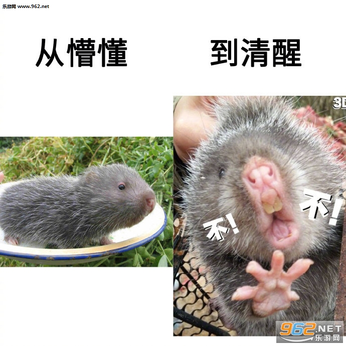 �����ɵ���������