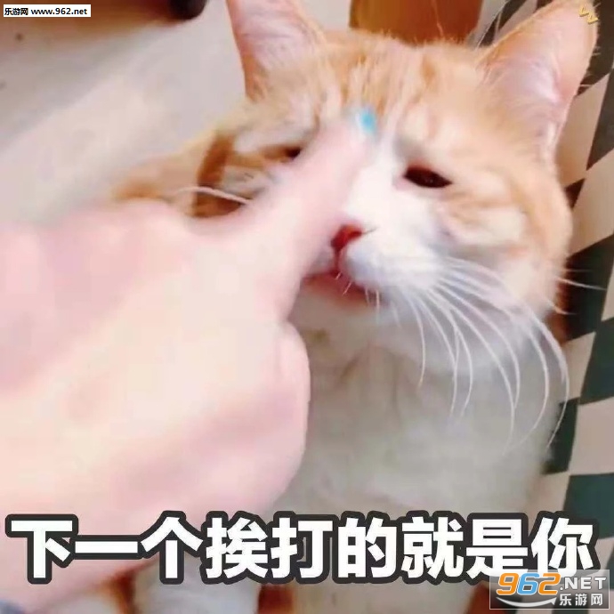 �Ǻ�����ϲ���ұ����ͼƬ