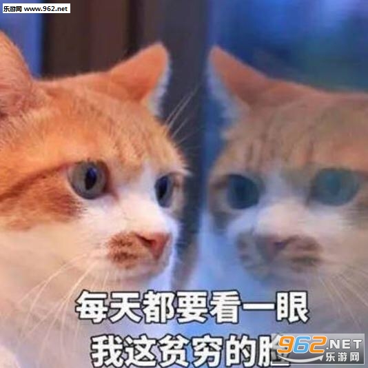 ÿ�춼Ҫ��һ������ƶ����������