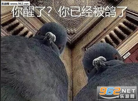 �Ҳ��ܱ���ɳ������