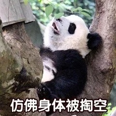�Ҳ��ܱ���ɳ������