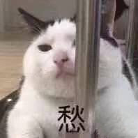 ��Ѽ�����