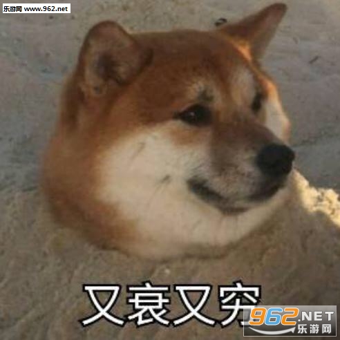 ��˥����ӱ����