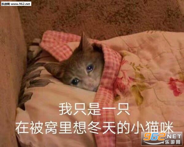 ��ӭ�����������������ʵ�������Ȧ�����