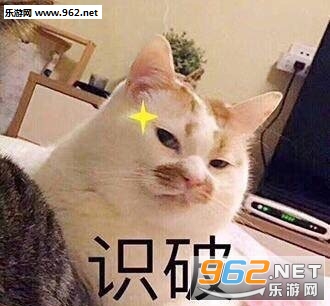�������۾�è������