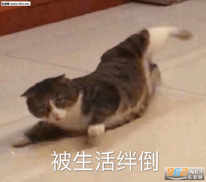 �Ҷ���ֻ�Ƿ곡��Ϸ�����ͱ����