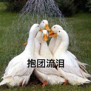 �Ҳ�����ûǮ�����ͼƬ