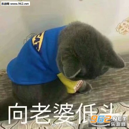 ���˾���һ���ö��������