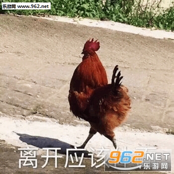������Ұ�����Լ���Ϸ�����