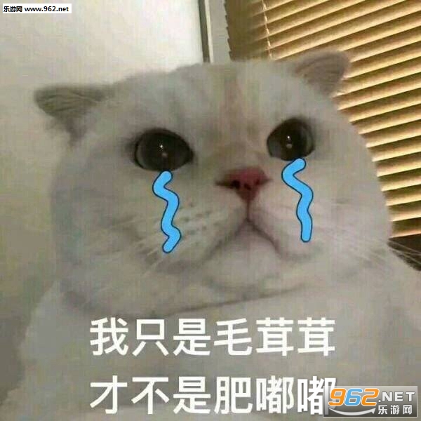 ��Ǯ�Ļ�벻Ҫ������èͷ�����