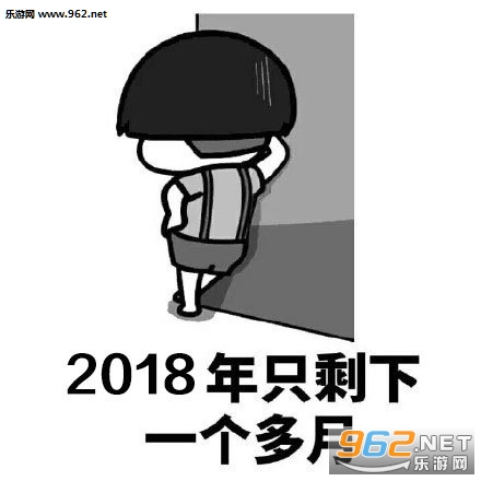 2018�����ܽ�����