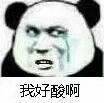 ̫�������̫���˱����