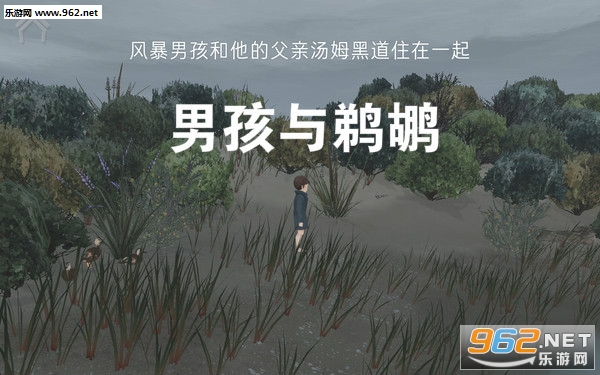 男孩与鹈鹕中文版 男孩与鹈鹕中文版