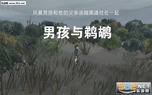 男孩与鹈鹕最新汉化版 男孩与鹈鹕最新汉化版