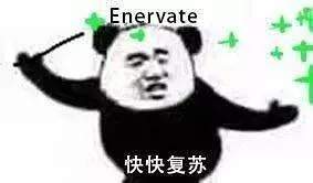 熊猫头哈利波特系列表情包