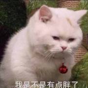 ���Ӵ��ͼƬ�����