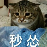 ���˱����