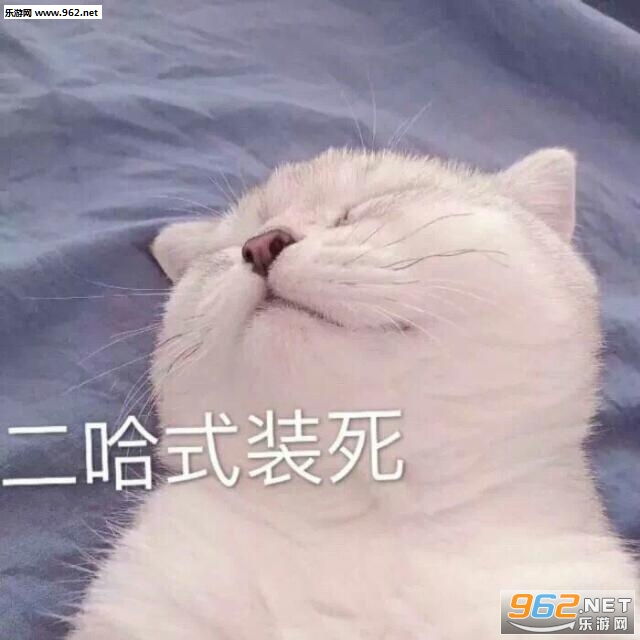 ��˫���ۿ�͸̫���˱����ͼƬ