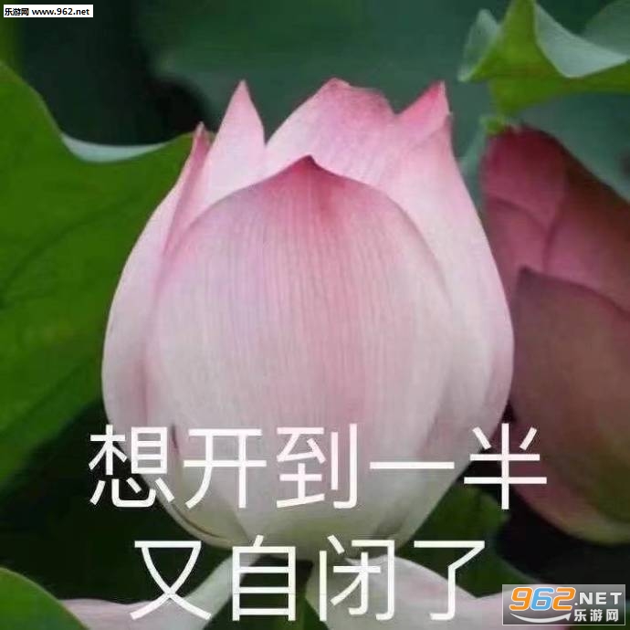 ħ��ħ���������ҵĶ���������������ͼ6