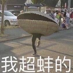 ˫11�������ã�����������ͼƬ��ͼ3