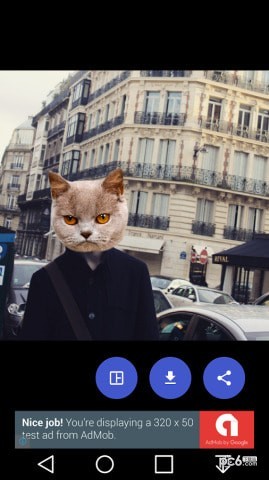 Cat Stickers(èͷ��ֽ����)��ͼ0