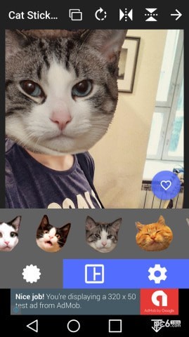Cat Stickers(èͷ��ֽ����)��ͼ1