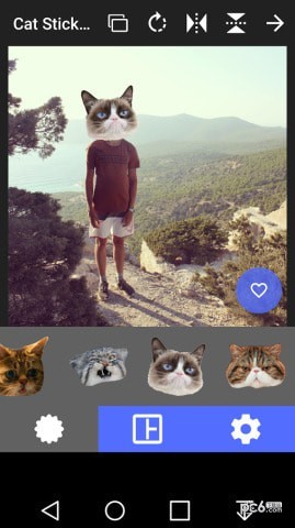 Cat Stickers(èͷ��ֽ����)��ͼ2