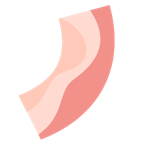 Bacon(�����������ʽ��)