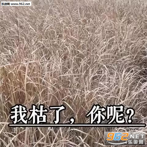 �ҿ�������г���������ͼ0