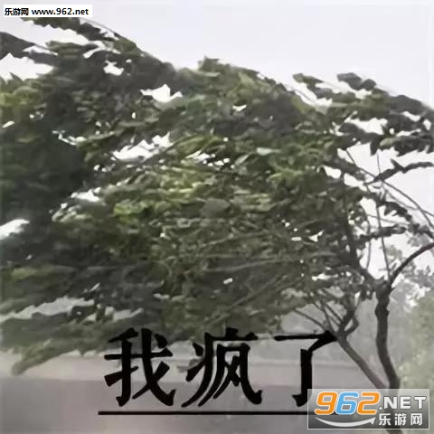 �ҿ�������г���������ͼ1