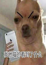 �������Ŀ�����ʲô�����