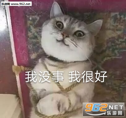 ǣ�ֳɹ������ͼƬ��ͼ6