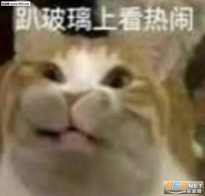 ���ǰ����ͱ����ͼƬ��ͼ6