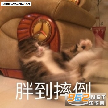 �Ǻ�����ϲ���ұ����ͼƬ��ͼ2
